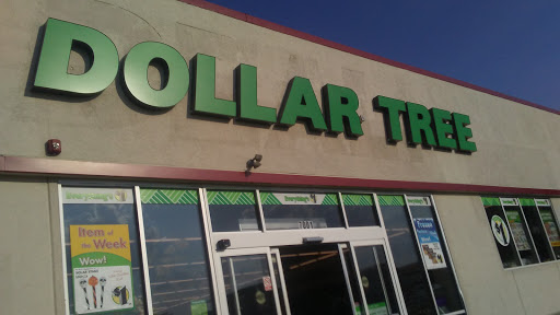 Dollar Store «Dollar Tree», reviews and photos, 7001 Cermak Rd, Berwyn, IL 60402, USA