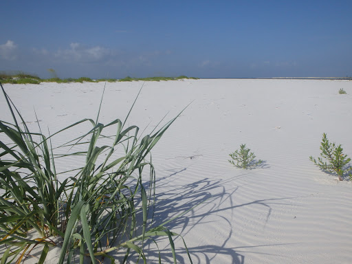 National Park «Fort Pickens», reviews and photos, 1400 Fort Pickens Rd, Pensacola Beach, FL 32561, USA