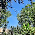 Photo n°5 de l'avis de kiwi5000.i fait le 12/05/2022 à 09:38 sur le  Tram Depot à Rome