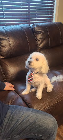 Central Bark Dog Grooming LLC - Photo 4 - Car repair in Dearborn Heights, MI, Dearborn