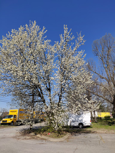 Grocery Store «Golden Key International Grocery Store», reviews and photos, 3821 Bardstown Rd, Louisville, KY 40218, USA