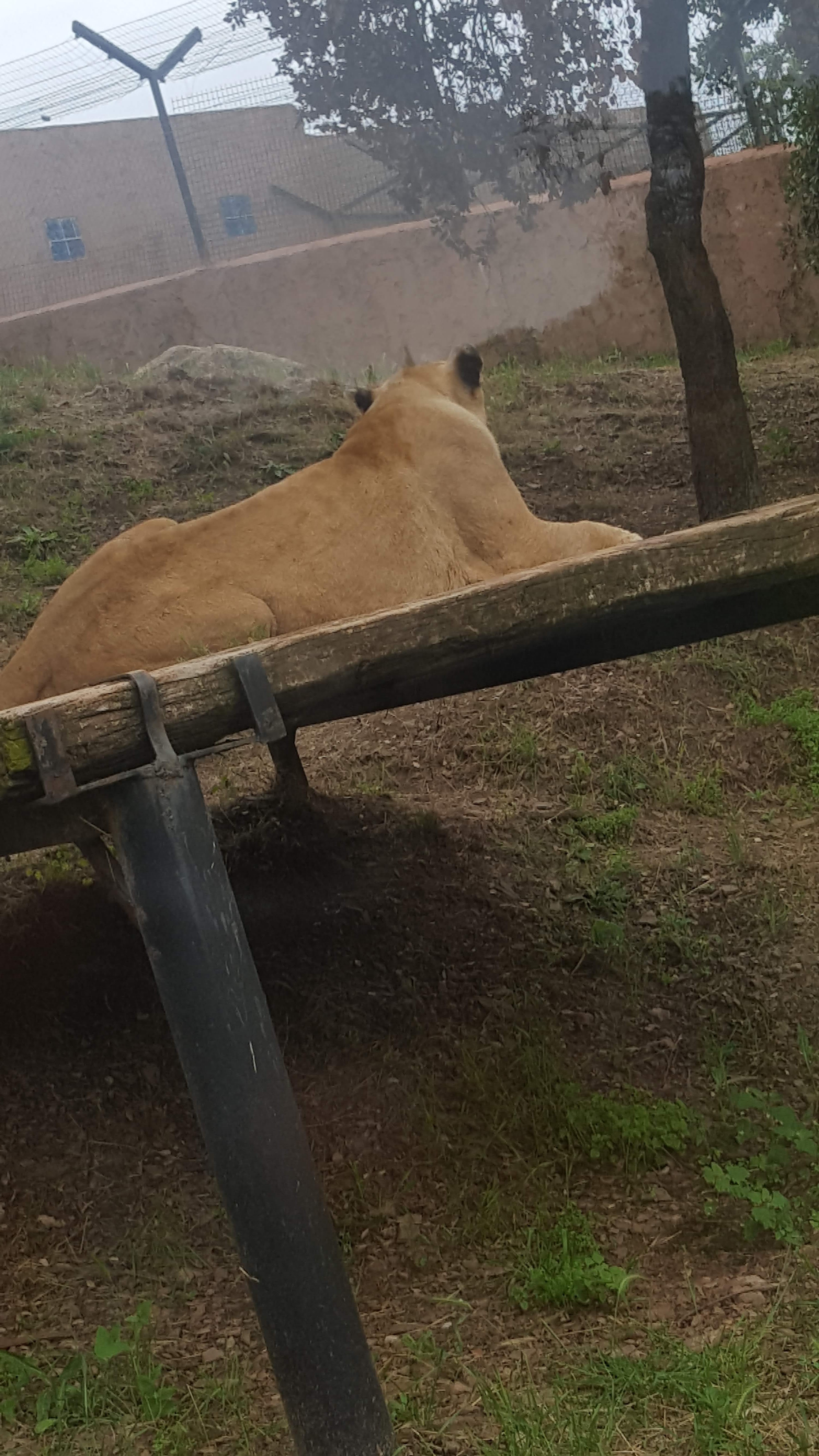 Photo n° 2 de l'avis de Eli. fait le 27/05/2018 à 18:47