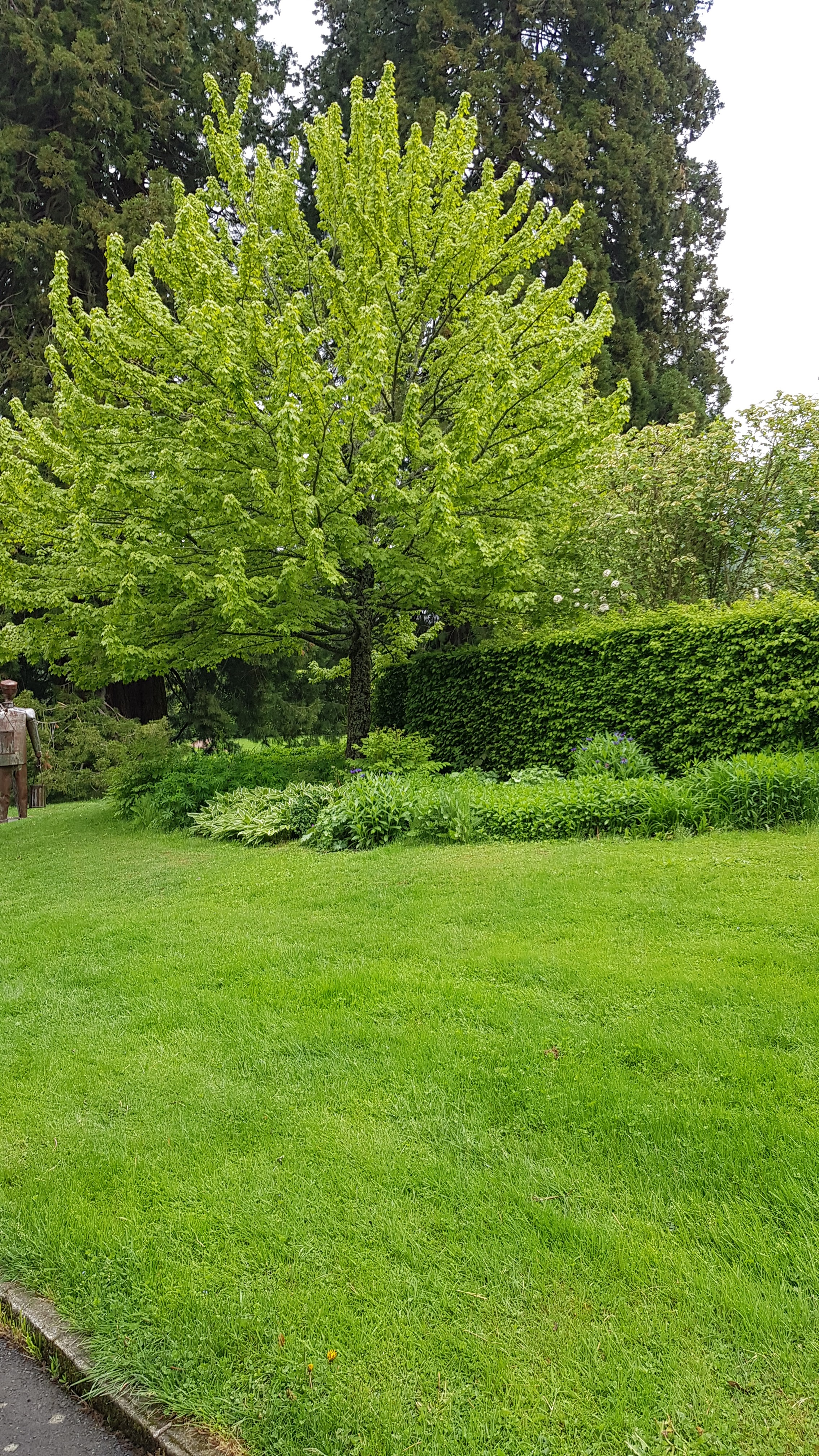 Photo n° 17 de l'avis de Octhane.a fait le 21/04/2017 à 20:56