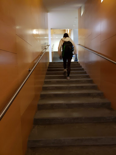 Museum «Davis Museum and Cultural Center», reviews and photos, 106 Central St, Wellesley, MA 02481, USA