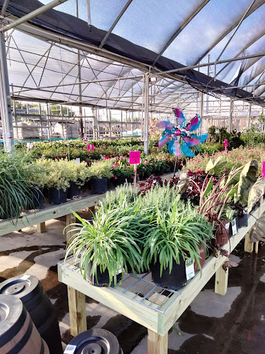 Lumber Store «Sutherlands Lumber», reviews and photos, 4041 S Staples St, Corpus Christi, TX 78411, USA