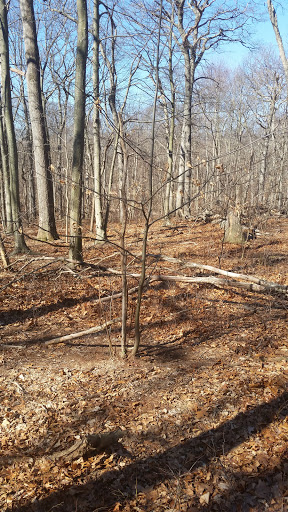 Country Club «Meadow Brook Club», reviews and photos, Cedar Swamp Rd, Jericho, NY 11753, USA