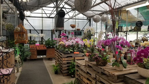 Garden Center «Repetto Florist and Nursery», reviews and photos, 12331 San Mateo Rd, Half Moon Bay, CA 94019, USA