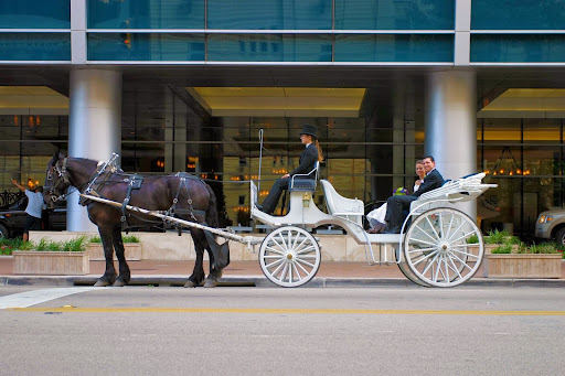 Carriage ride service Fort Worth