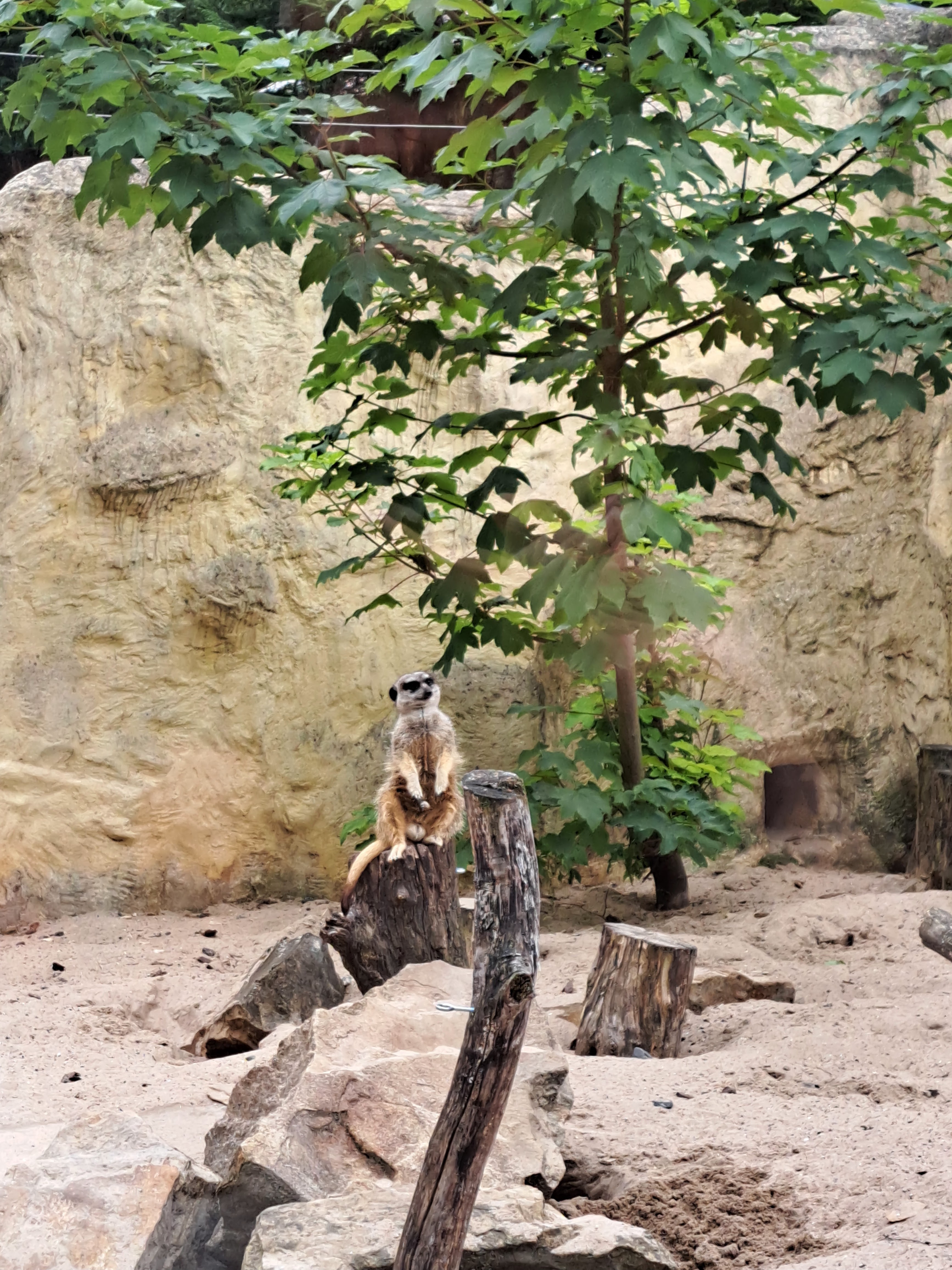 Photo n° 1 de l'avis de Jade.o fait le 05/07/2023 à 22:18