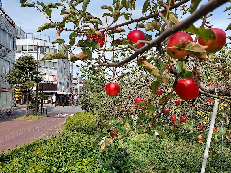 飯田りんご並木