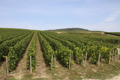 Champagne Oriol-Jougnot à Dizy