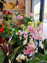 Flower shop "Cvetence" / Магазин за цветя "Цветенце"