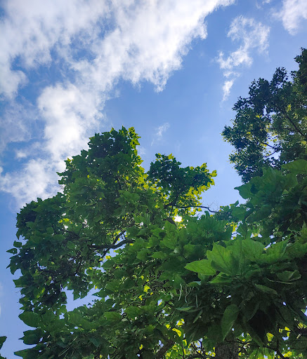 Park «Mt. Echo Park», reviews and photos, 202 Crestline Ave, Cincinnati, OH 45205, USA