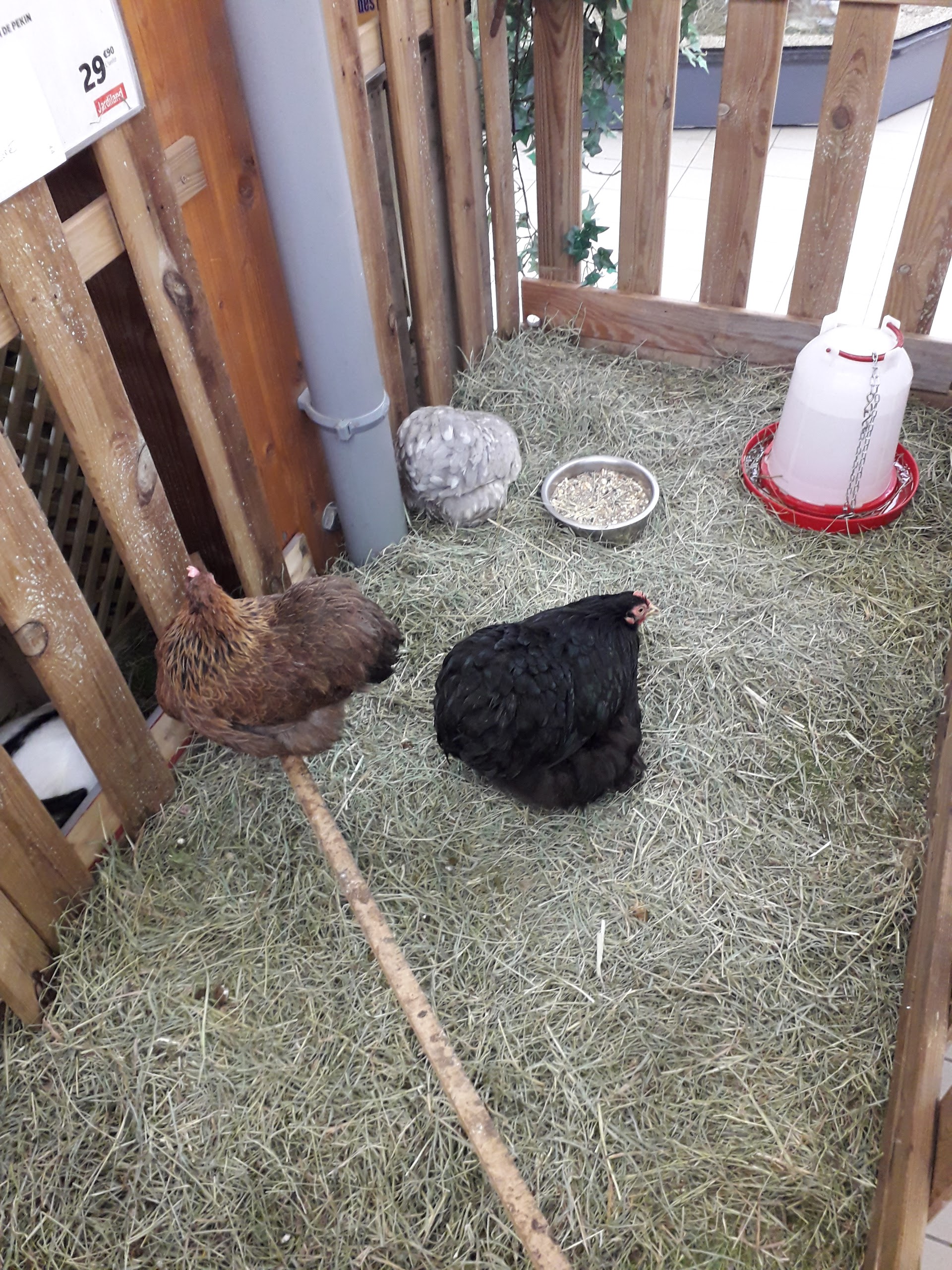 Photo n° 4 de l'avis de Pauline.t fait le 15/01/2018 à 15:15