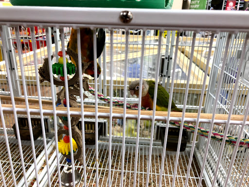 Pet Supply Store «Pet Supermarket», reviews and photos, 1809 S University Dr, Davie, FL 33324, USA
