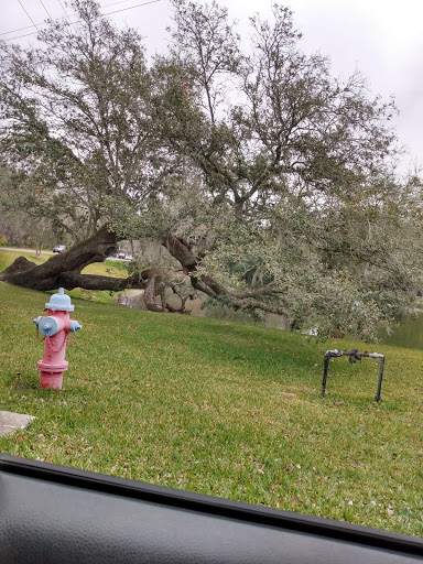 Movie Theater «Regal Cinemas Hollywood 16 & IMAX - Ocala», reviews and photos, 2801 SW 27th Ave, Ocala, FL 34471, USA