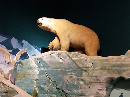 Natural History Museum «Cleveland Museum of Natural History», reviews and photos, 1 Wade Oval Dr, Cleveland, OH 44106, USA