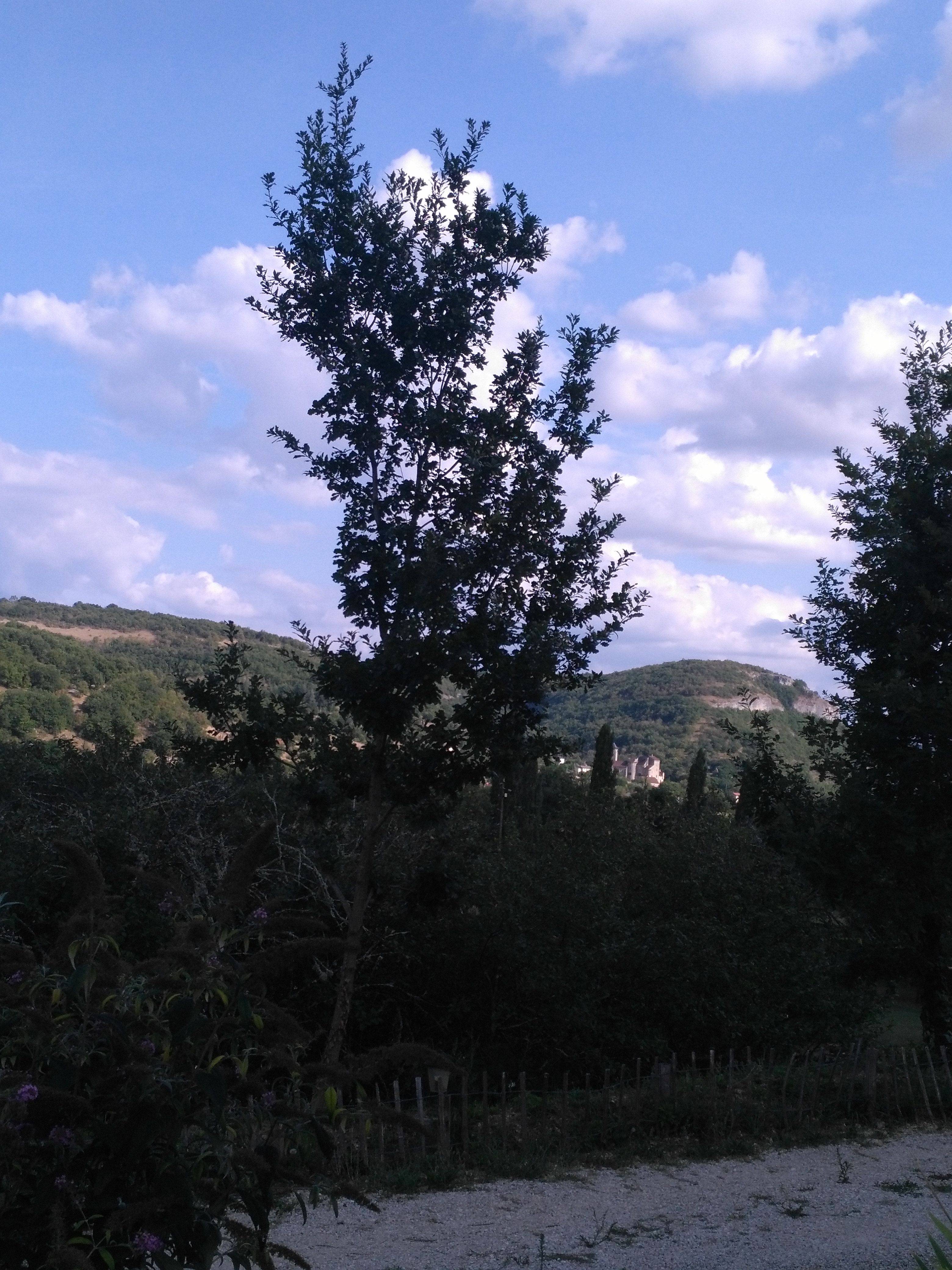 Photo n° 4 de l'avis de stef.i fait le 19/08/2018 à 10:23