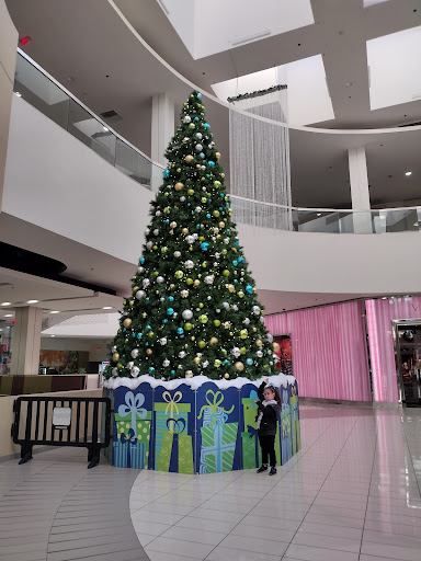 Shopping Mall «Baldwin Hills Crenshaw», reviews and photos, 3650 W Martin Luther King Jr Blvd, Los Angeles, CA 90008, USA