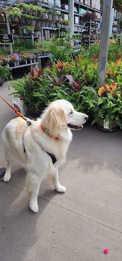 Home Improvement Store «The Home Depot», reviews and photos, 23575 U.S. 59, Porter, TX 77365, USA