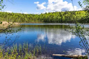 Suolijärvi image