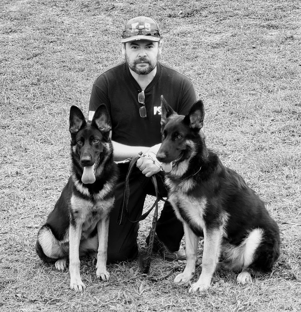K9s And Me