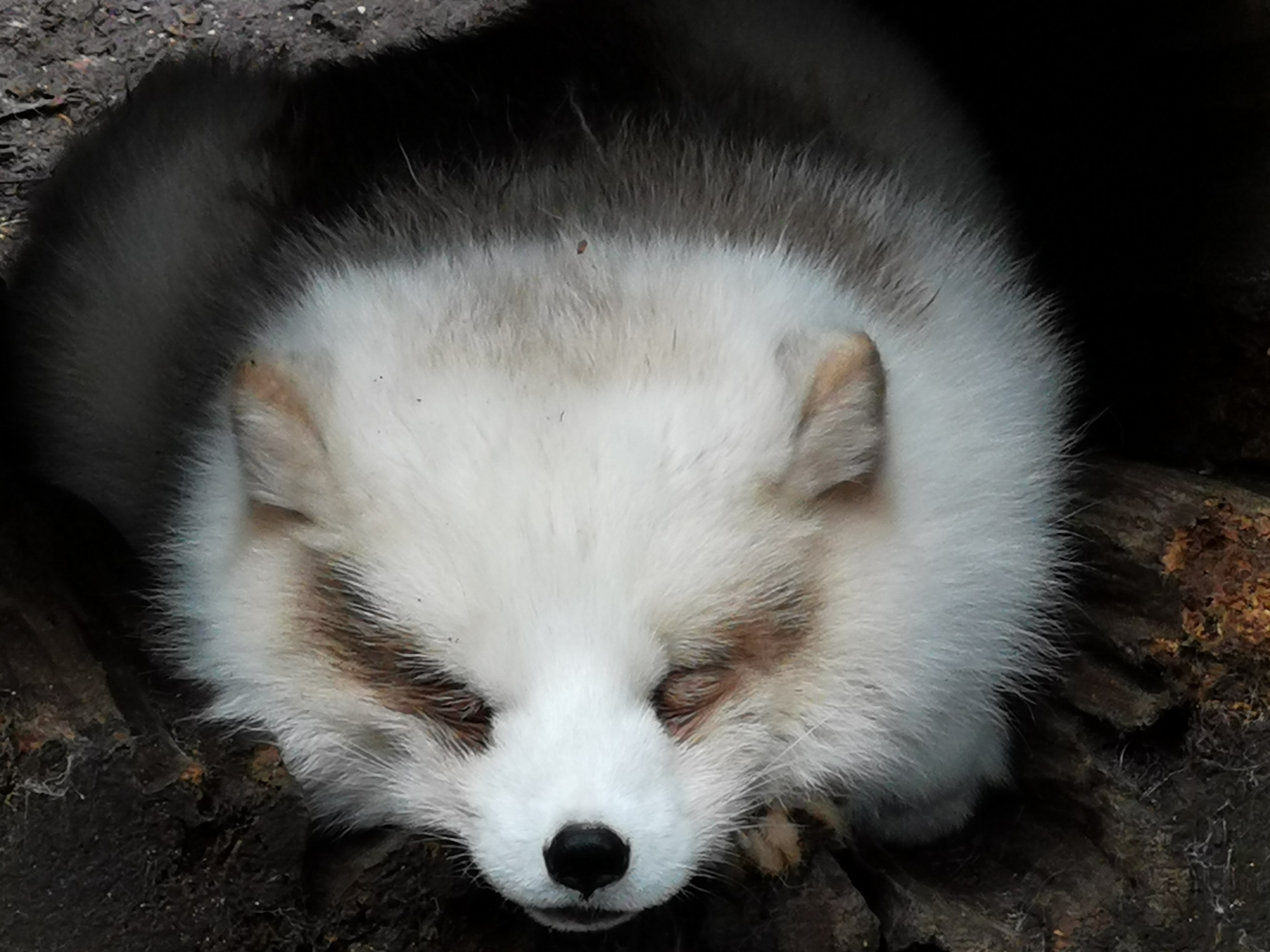 Photo n° 4 de l'avis de Anna. fait le 21/02/2022 à 15:27