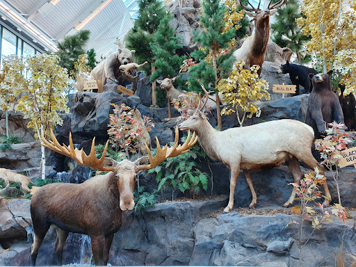 Shopping Mall «The Outlets at Sparks», reviews and photos, 1310 Scheels Drive, Sparks, NV 89434, USA