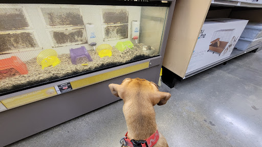 Pet Supply Store «Petco Animal Supplies», reviews and photos, 474 228th Ave NE, Sammamish, WA 98074, USA