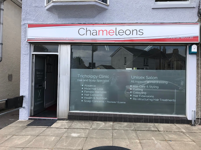 Chameleons Hair and Scalp - Plymouth