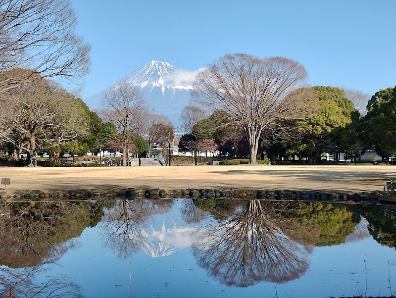 富士見の丘