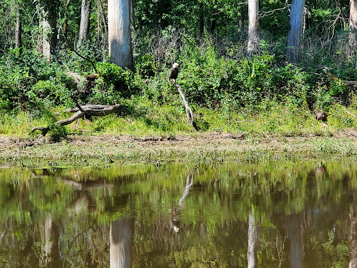 Boat Tour Agency «Maiden Voyage Tours», reviews and photos, 111 Front St, McGregor, IA 52157, USA