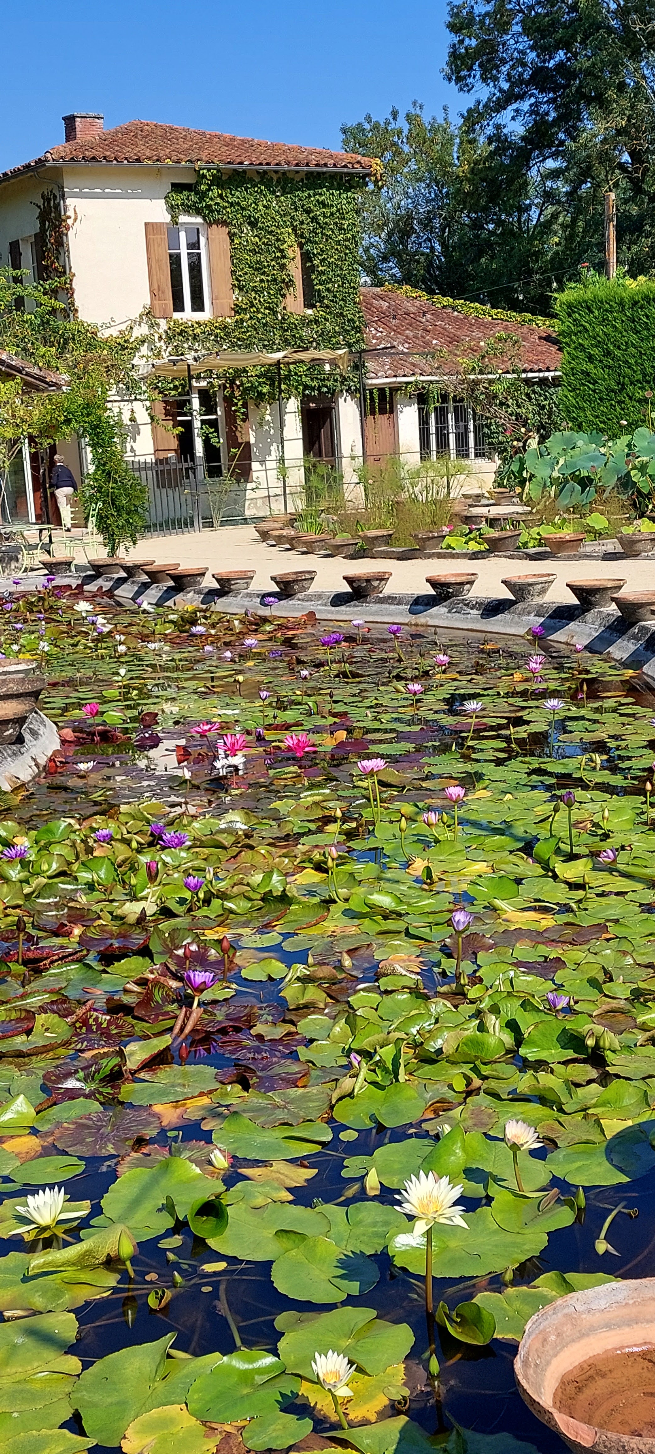 Photo n° 15 de l'avis de Virginie.a fait le 24/09/2021 à 06:44