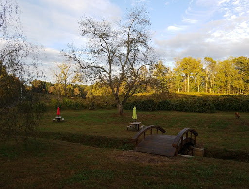 Winery «Cartecay Vineyards», reviews and photos, 5704 Clear Creek Rd, Ellijay, GA 30536, USA