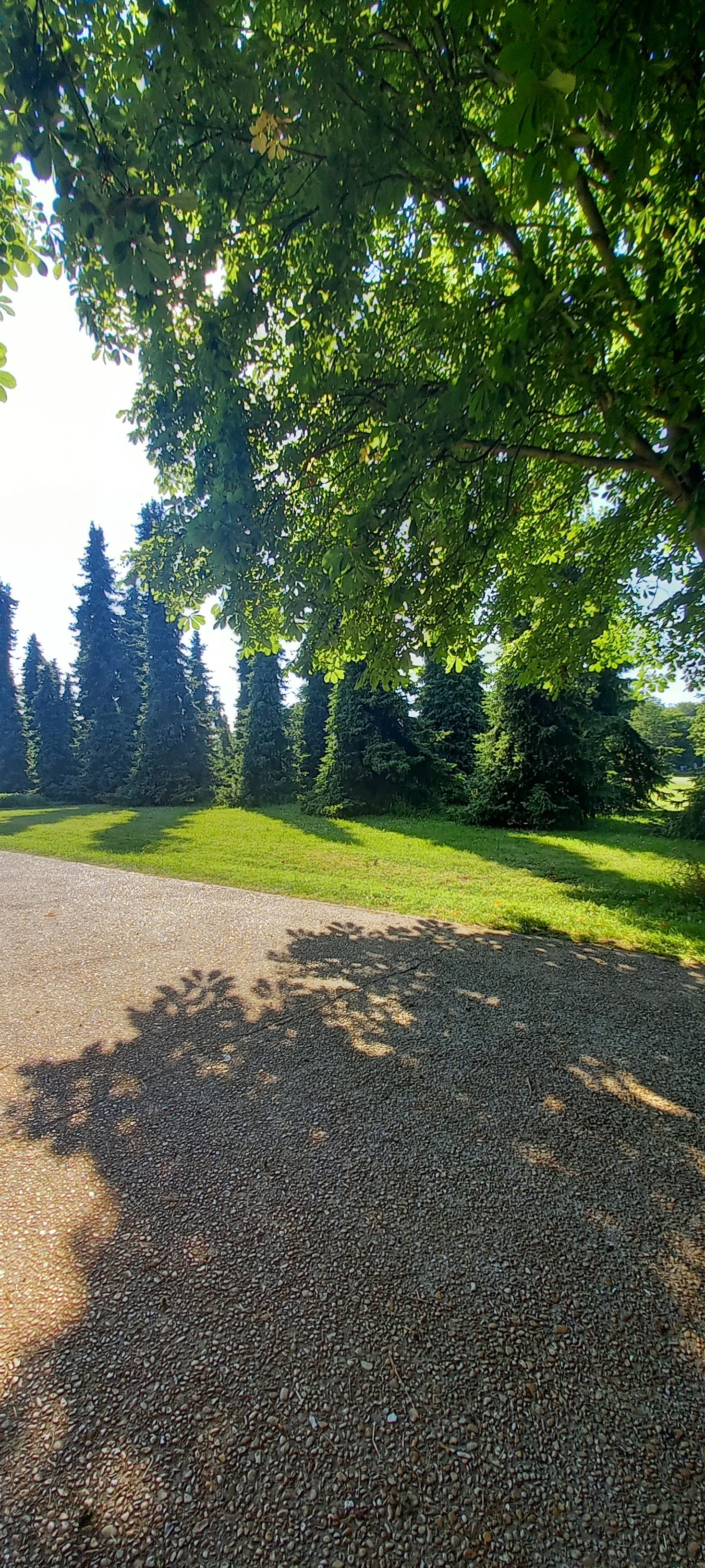Photo n° 1 de l'avis de Martine.e fait le 15/06/2021 à 17:49