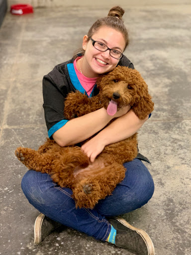 Dog Trainer «Mad 4 My Dog», reviews and photos, 702 E Temperance St, Ellettsville, IN 47429, USA