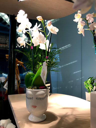 Florist «Flowers By Pouparina», reviews and photos, 1868 W Flagler St, Miami, FL 33135, USA