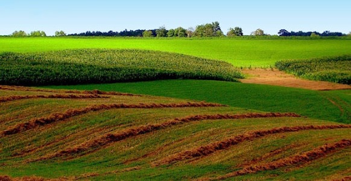 Real Estate Agents «Jesse Kiihl Real Estate», reviews and photos, 114 W Kemp Ave, Watertown, SD 57201, USA