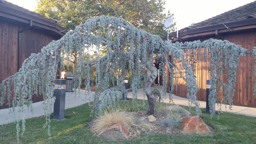 Oroville Feather Falls Casino KOA Journey image