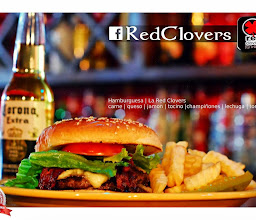 Red Clovers Chihuahua photo