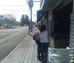 ANTOJITOS MÉXICANOS photo