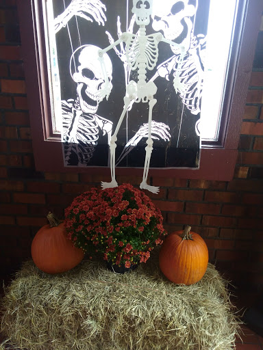 Grocery Store «Food Lion», reviews and photos, 1328 Armory Dr, Franklin, VA 23851, USA