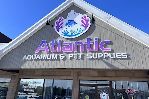 Atlantic Aquarium & Pet Supplies image