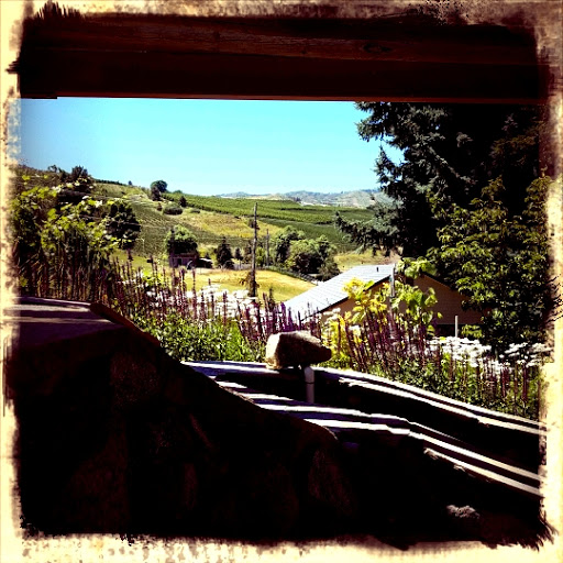 Winery «Tunnel Hill Winery», reviews and photos, 37 US-97 ALT, Chelan, WA 98816, USA