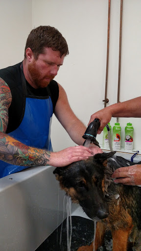 Pet Supply Store «Healthy Pet Center», reviews and photos, 775 New Loudon Rd, Latham, NY 12110, USA