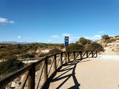 Zona de observación de aves – Clot de Galvany – Los Arenales del Sol