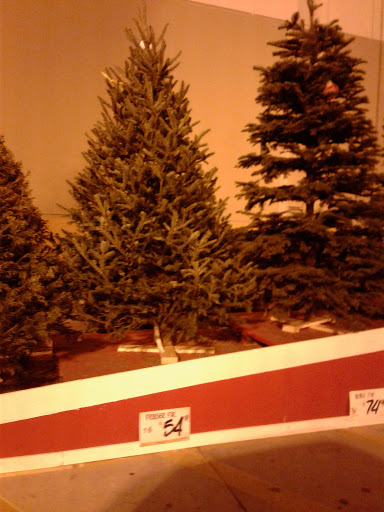 Home Improvement Store «The Home Depot», reviews and photos, 3200 Puente Ave, Baldwin Park, CA 91706, USA