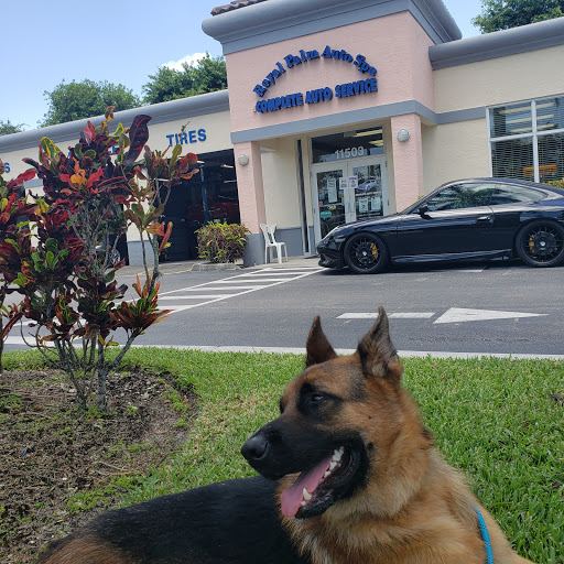 Auto Parts Store «Royal Palm Auto Spa», reviews and photos, 11503 Southern Blvd, Royal Palm Beach, FL 33411, USA