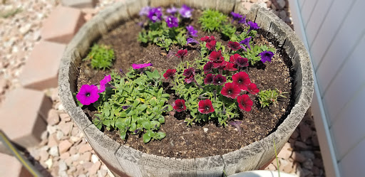 Park «City of Cuernavaca Park», reviews and photos, 3500 Rockmont Dr, Denver, CO 80202, USA