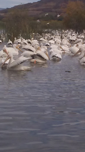 Chevrolet Dealer «Supreme Chevrolet of Gonzales», reviews and photos, 13354 Airline Hwy, Gonzales, LA 70737, USA